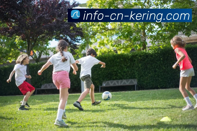 世界杯球队